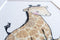 Giraffe Baby Picture 16x12" (Framed)